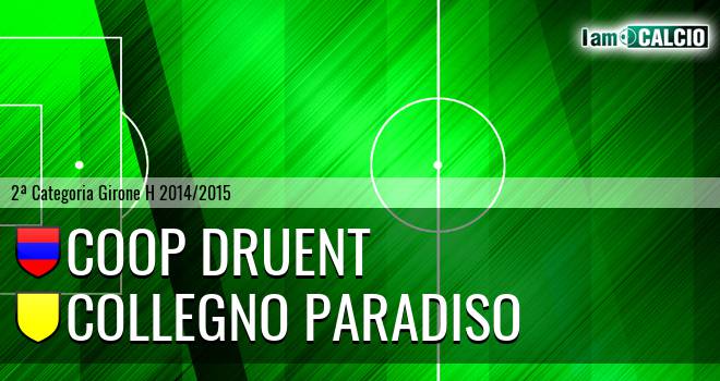 Coop Druent - Collegno Paradiso