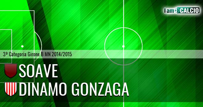 Soave - Dinamo Gonzaga