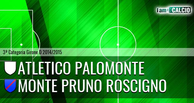 Atletico Palomonte - Monte Pruno Roscigno