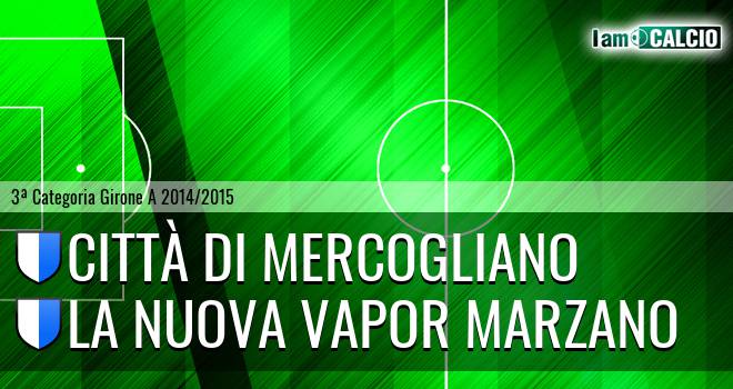 Mercogliano 1999 - La Nuova Vapor Marzano