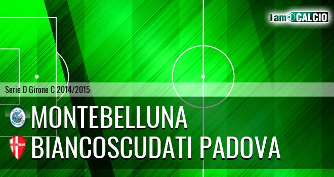 Prodeco Calcio Montebelluna - Biancoscudati Padova