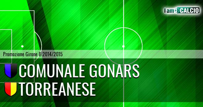 Comunale Gonars - Torreanese