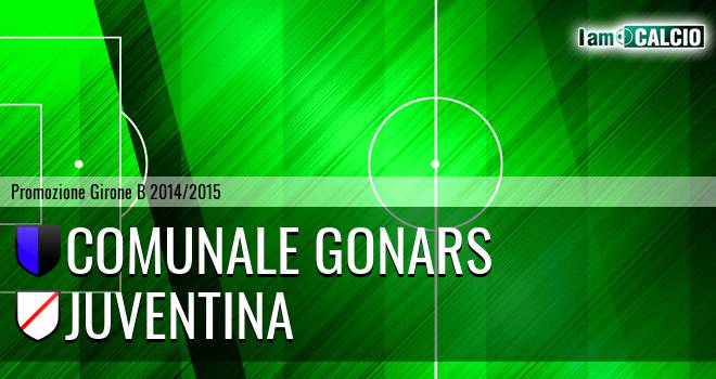 Comunale Gonars - Juventina