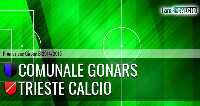 Comunale Gonars - Trieste calcio