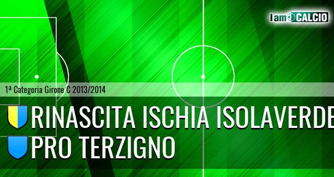 Ischia Calcio - Pro Terzigno