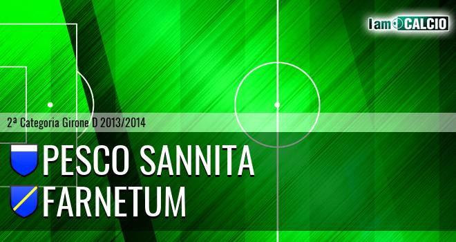 Atletico Sannita - Farnetum