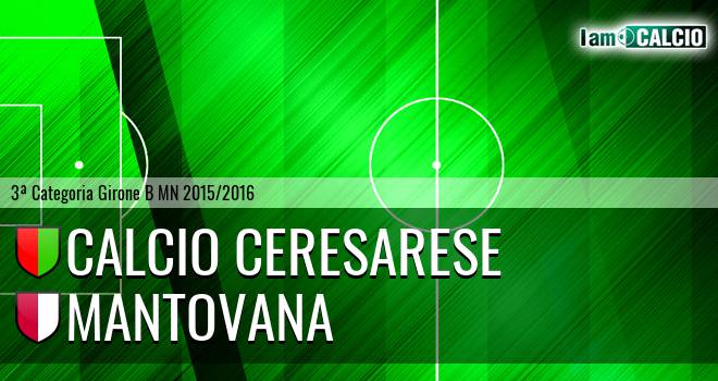 Calcio Ceresarese - Mantovana