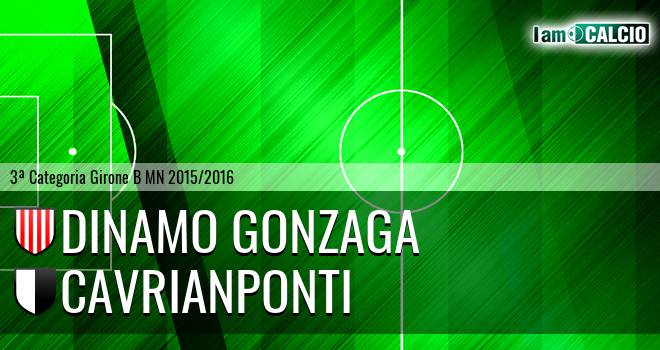 Dinamo Gonzaga - Cavrianponti