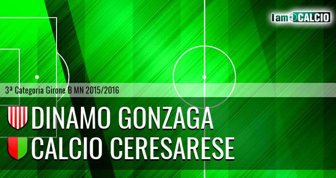 Dinamo Gonzaga - Calcio Ceresarese