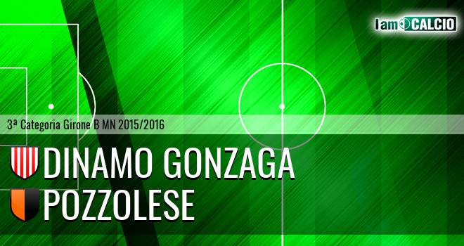 Dinamo Gonzaga - Pozzolese