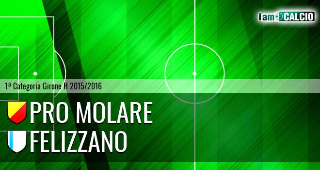 Pro Molare - Felizzano