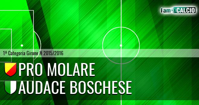 Pro Molare - Audace Boschese