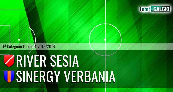 River Sesia - Sinergy Verbania