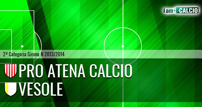 Pro Atena Calcio - Vesole