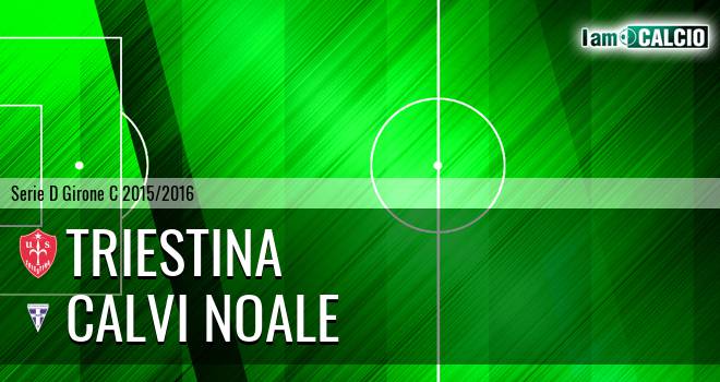 Triestina - Calvi Noale