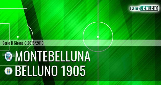 Prodeco Calcio Montebelluna - Belluno