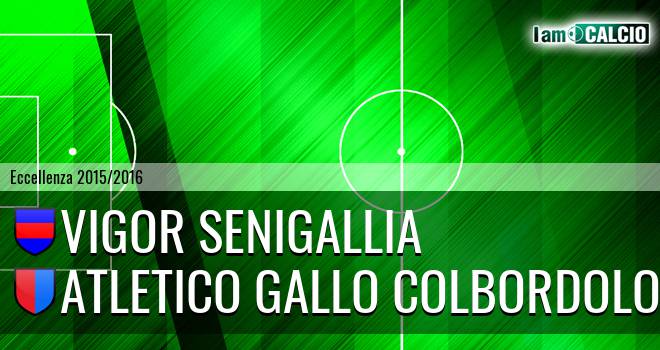 Vigor Senigallia - Atletico Gallo Colbordolo