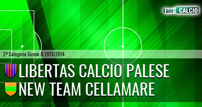 Virtus Palese - New Team Cellamare