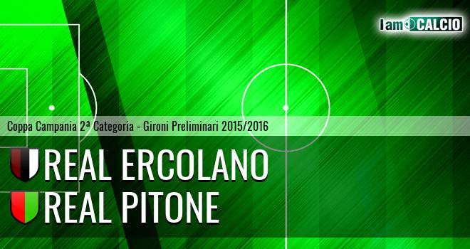 Ercolanese - Real Pitone