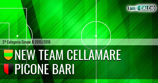 New Team Cellamare - Picone Bari