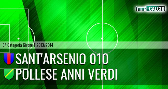 Sant'Arsenio 010 - Pollese Anni Verdi