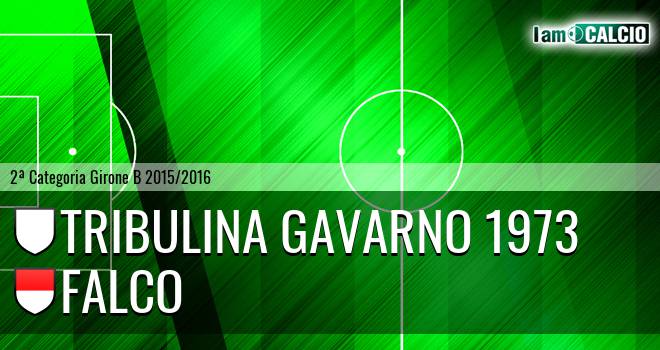 Tribulina Gavarno 1973 - Falco