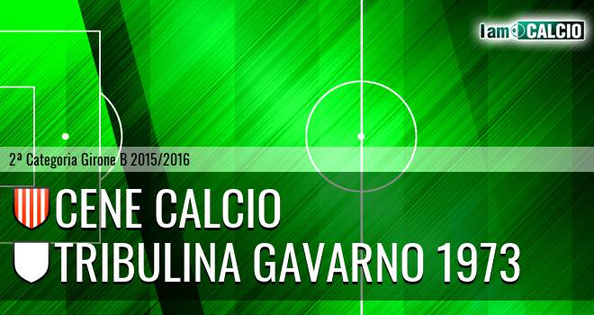 Cene calcio - Tribulina Gavarno 1973