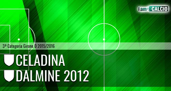 Celadina - Dalmine 2012