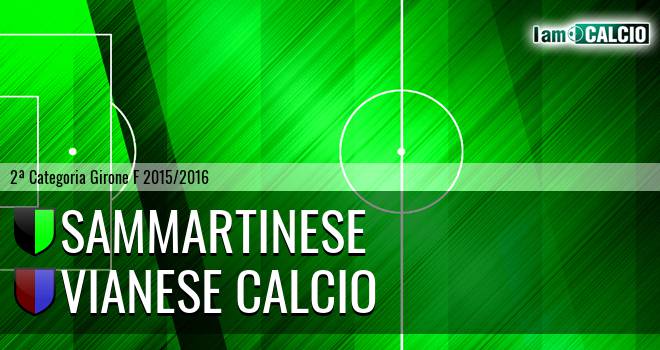 Sammartinese - Vianese Calcio