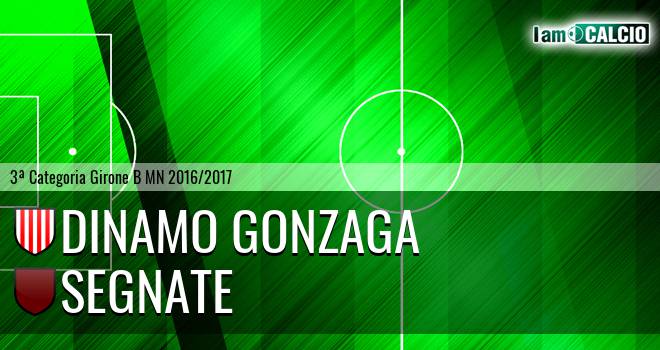 Dinamo Gonzaga - Segnate