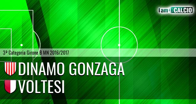 Dinamo Gonzaga - Voltesi