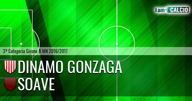 Dinamo Gonzaga - Soave