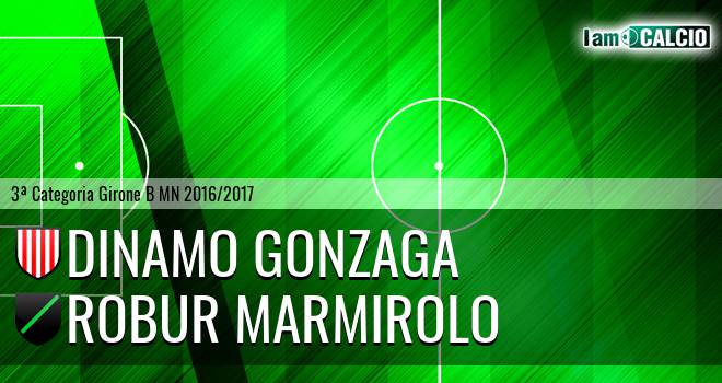 Dinamo Gonzaga - Robur Marmirolo