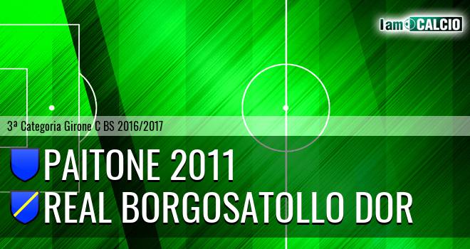 Paitone 2011 - Real Borgosatollo Dor