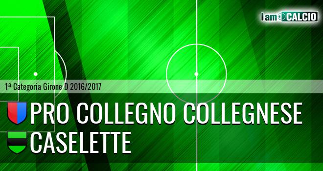 Pro Collegno Collegnese - Caselette