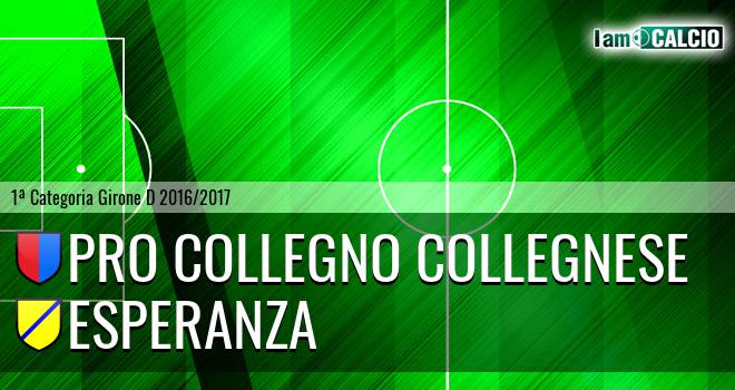 Pro Collegno Collegnese - Esperanza