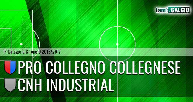 Pro Collegno Collegnese - Cnh Industrial