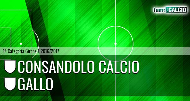 Consandolo Calcio - Gallo