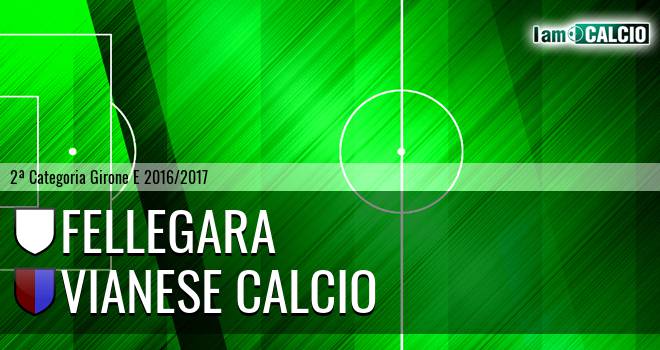 Fellegara - Vianese Calcio