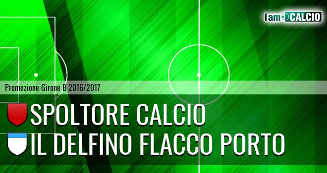 Spoltore Calcio - Delfino Curi Pescara