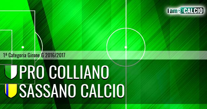 Pro Colliano - Sassano Calcio