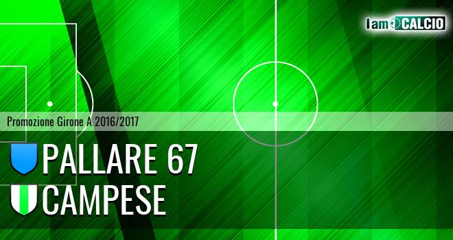 Pallare 67 - Campese