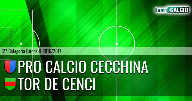 Pro Calcio Cecchina - Tor de Cenci