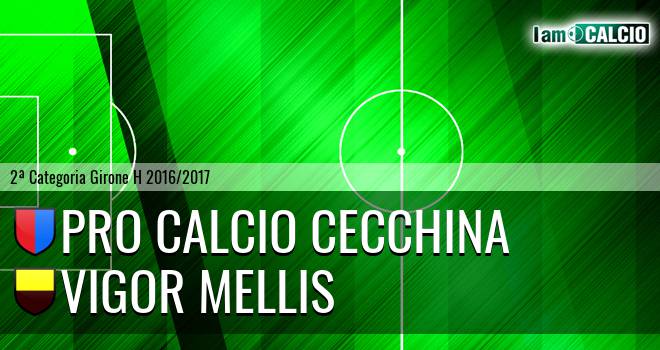 Pro Calcio Cecchina - Vigor Mellis