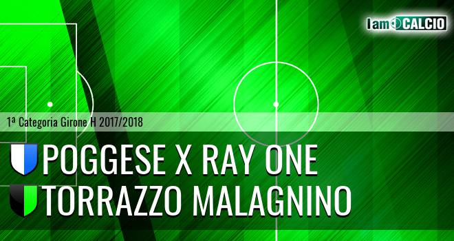 Poggese X Ray One - Torrazzo Malagnino