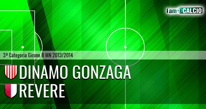 Dinamo Gonzaga - Revere