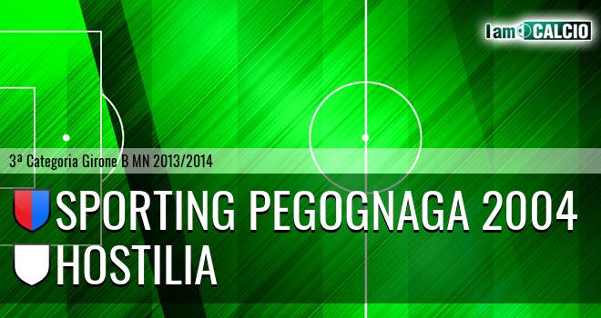 Sporting Pegognaga 2004 - Hostilia