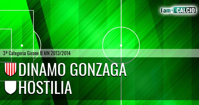 Dinamo Gonzaga - Hostilia