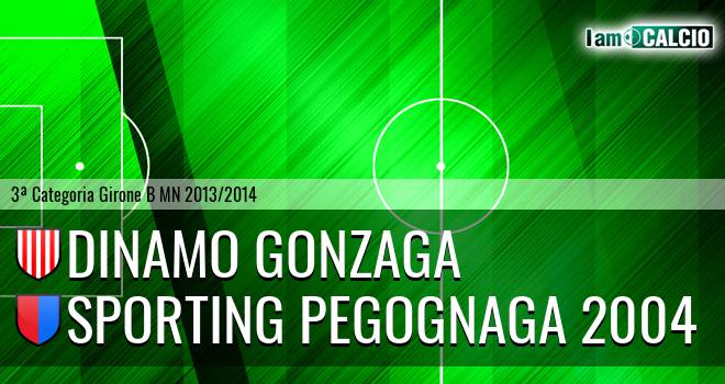 Dinamo Gonzaga - Sporting Pegognaga 2004