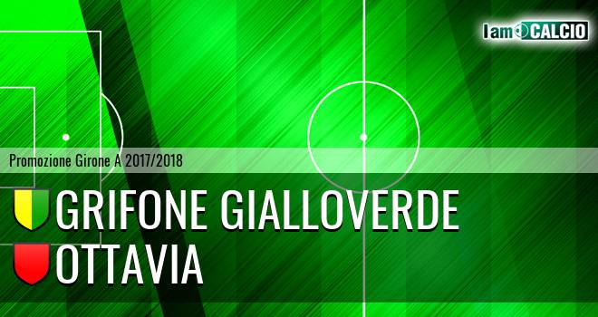 Grifone Gialloverde - Ottavia